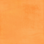 At the Zoo- Orange Solid Paper