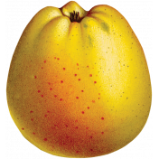 Apple Crisp- Yellow Apple 01