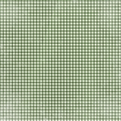 Apple Crisp- Dark Green Gingham Paper