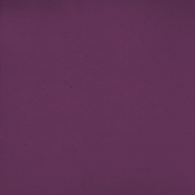 New Day- Purple Solid Paper