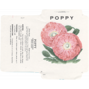 Fresh- Poppy Seed Packet