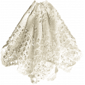 All the Princesses- Lace Skirt