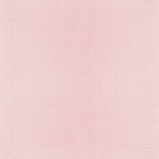 All The Princesses- Pink Netting Paper