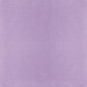 All The Princesses- Purple Paper