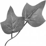 Leaf Template 120