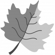 Layered Leaf Template 002