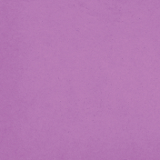 School's Out For Summer- Light Purple Solid Paper