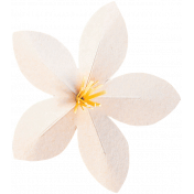 Through Thick & Thin- White Flower
