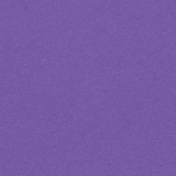 Snuggled Up – Dark Purple Solid Paper