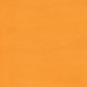 Galentine's Day- Orange Solid Paper