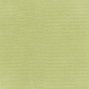 Fall Into Autumn- Solid Light Green Paper