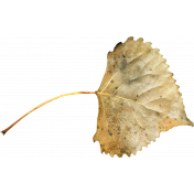 Woodland Winter- Leaf 1