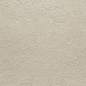 Rustic Charm- Cream Textured Paper