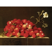 Strawberry Fields- Journal Card 21