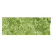 Spring Fresh Washi Tape- Leafy- Green