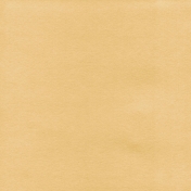 Christmas Cardstock Brown 4