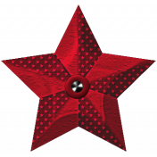 Robbie's Rockin' Red- Star Ornament Red