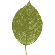Grunge and Roses- Single Leaf