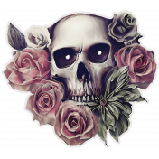 Skull n Roses