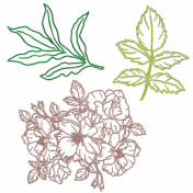 Glitter Bordered Botanical Leaves & Flowers