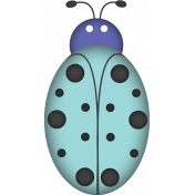 Ladybug3