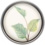 Garden Tales Plant Porcelain Button