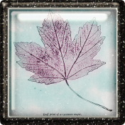 Elegant Autumn Square Leaf Brad