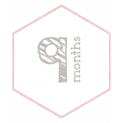 Baby Shower 9 Months Pink Hexagon Tag
