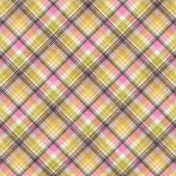 Heading Back 2 School Plaid Paper 06