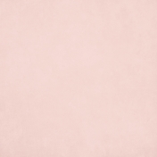 Orchard Traditions Light Pink Solid Paper