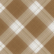 Warm n Woodsy Plaid Paper 09