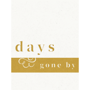 Reminisce Days Gone By Journal Card 3x4