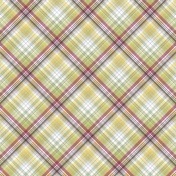 Delightful Days Plaid Paper 010