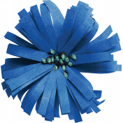 Coastal Spring Blue Flower