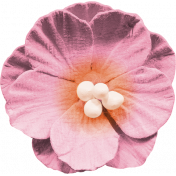Bohemian Sunshine Element Pink Flower