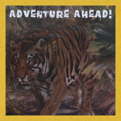 Into The Wild Adventure Awaits Journal Card 4x4
