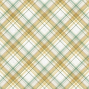 Into The Wild Plaid Paper 04