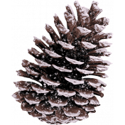 Frosty Forest Pinecone