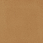 Copper Spice Solid Tan Paper 2