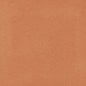 Copper Spice Solid Tan Paper 4