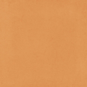 Copper Spice Solid Tan Paper 5