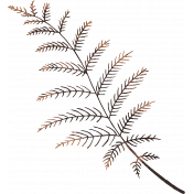 Autumn Bramble Brown Fern