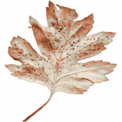 Autumn Bramble Faded Leaf