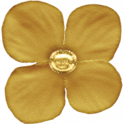 Snowhispers Gold Flower