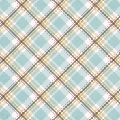 Positively Happy Plaid Paper 2