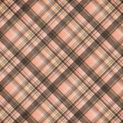 Vintage Memories: Genealogy Plaid Paper 6