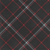 Retro Picnic Plaid Paper 11