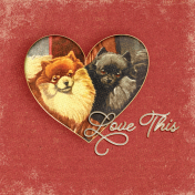 Furry Cuddles Love This Journal Card 4"x4" 