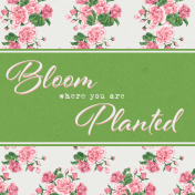 Bloom Revival Bloom Journal Card 4x4