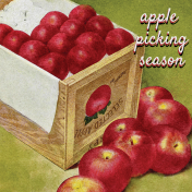 Mulled Cider Aplle Picking Season Journal Card 4x4